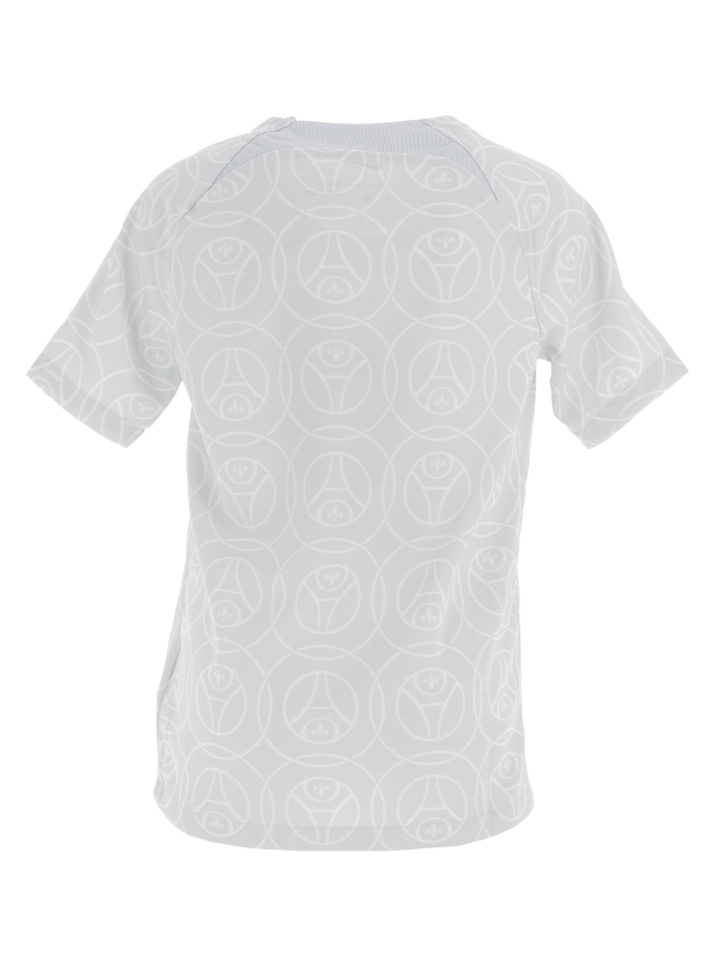 Maillot de football paris saint germain bleu enfant - Nike