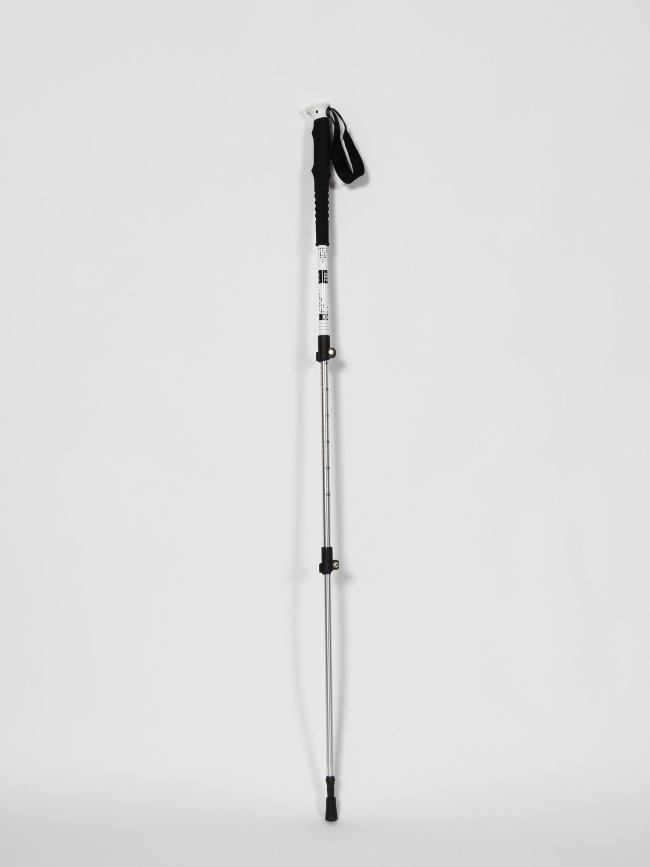 Bâton de randonnée télescopique hobo noir - Elémenterre