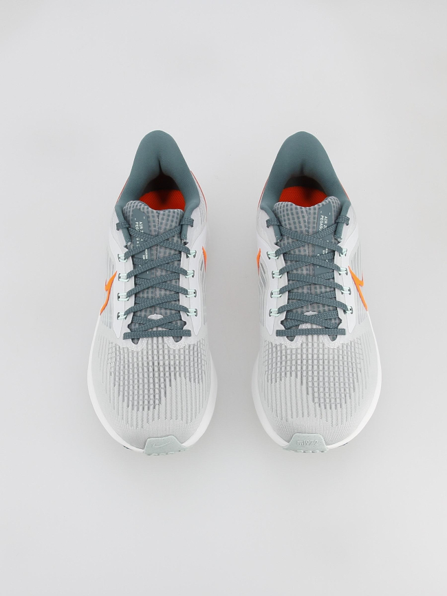 Chaussures running air pegasus gris homme - Nike