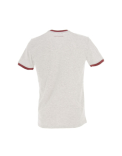 T-shirt the tee gris chiné homme - Teddy Smith