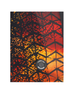 Maillot de bain noir/orange garçon - Lemon Bay