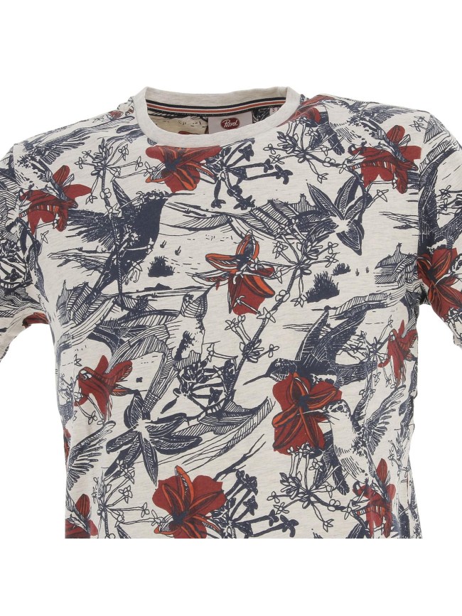 T-shirt tsr603 multicolore homme - Petrol Industries