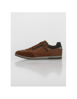 Chaussures basses renan marron homme - Geox