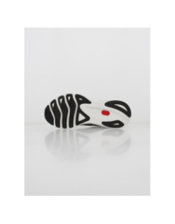 Chaussures de running wave skyrise 3 gris homme - Mizuno