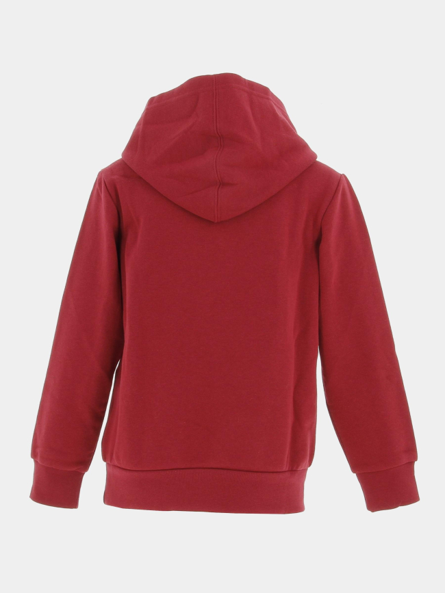 Sweat à capuche hooded bordeaux enfant - Champion