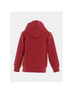 Sweat à capuche hooded bordeaux enfant - Champion