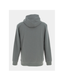 Sweat à capuche nark kaki homme - Teddy Smith