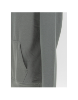 Sweat à capuche nark kaki homme - Teddy Smith