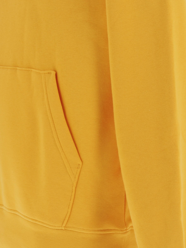 Sweat à capuche jordan jaune homme - Nike