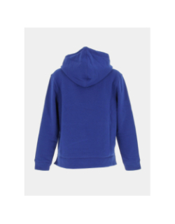 Sweat à capuche regular bleu femme - Tommy Hilfiger