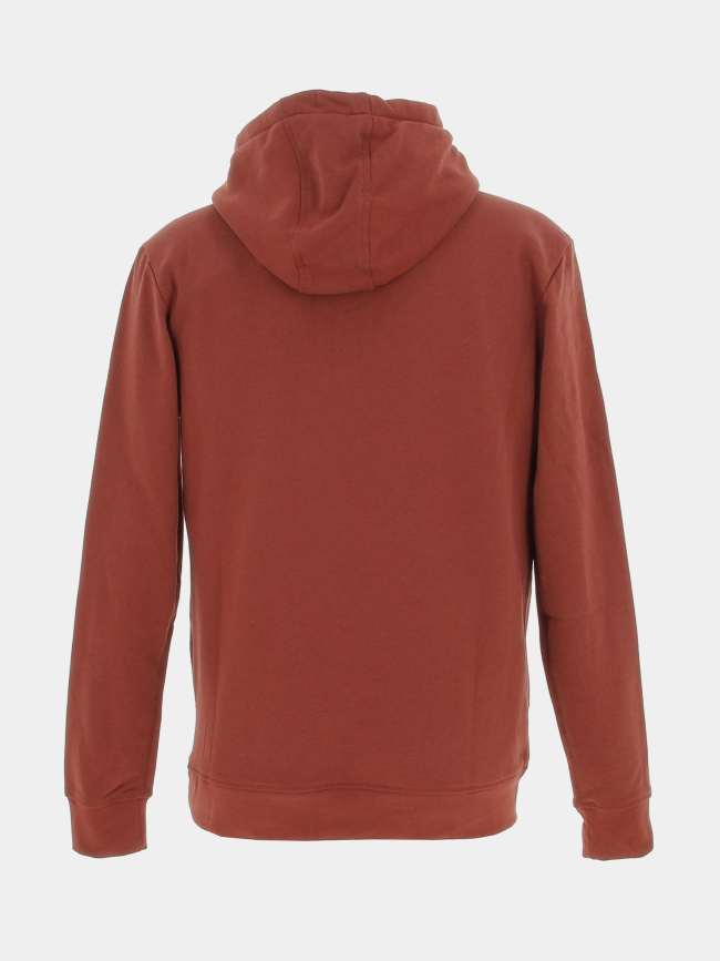 Sweat à capuche nark bordeaux homme - Teddy Smith
