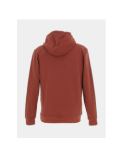 Sweat à capuche nark bordeaux homme - Teddy Smith