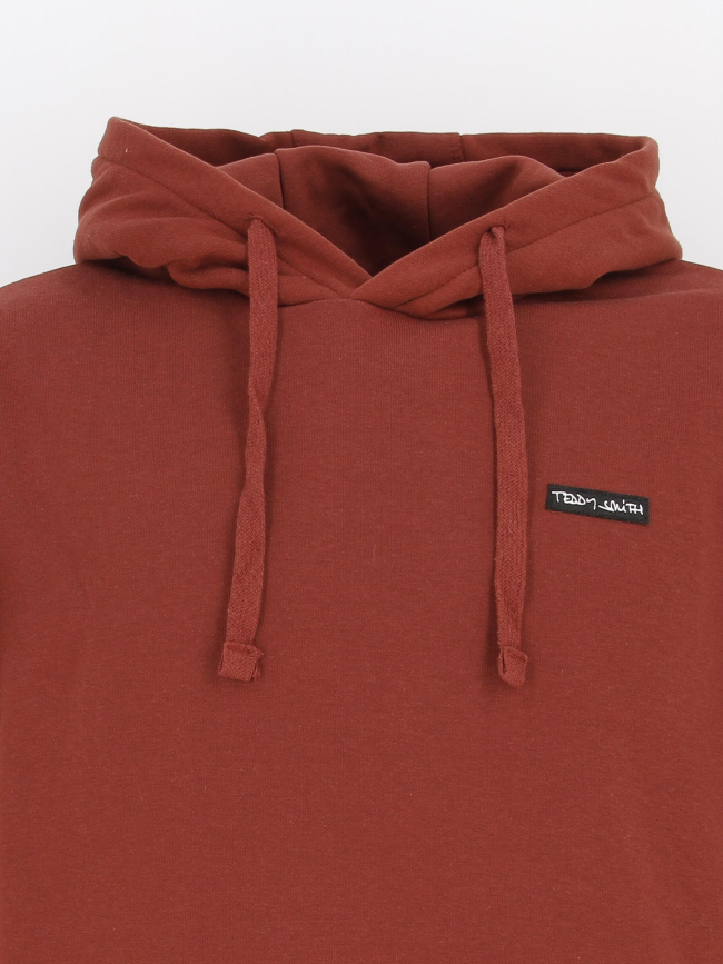 Sweat à capuche nark bordeaux homme - Teddy Smith