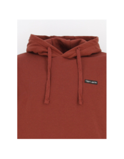 Sweat à capuche nark bordeaux homme - Teddy Smith
