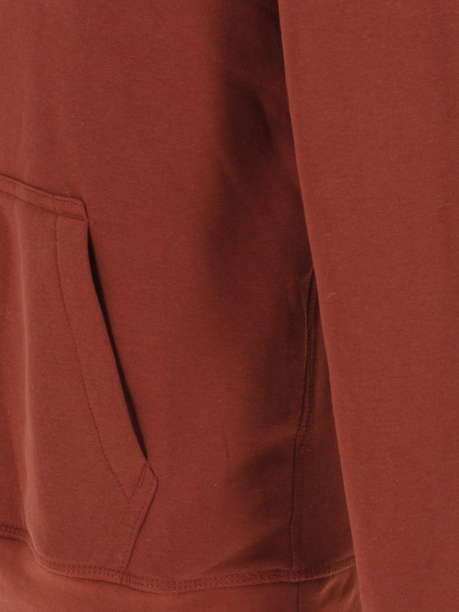 Sweat à capuche nark bordeaux homme - Teddy Smith