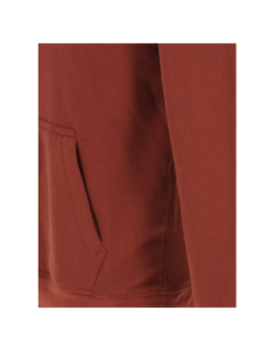 Sweat à capuche nark bordeaux homme - Teddy Smith