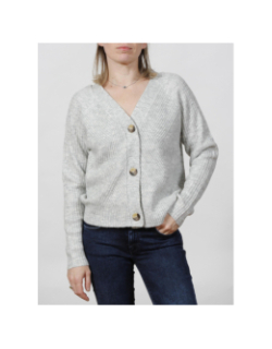 Gilet cardigan carol gris femme - Only