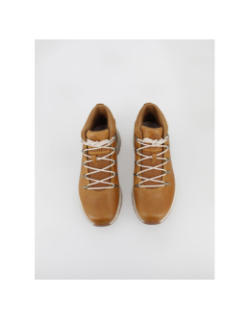 Baskets montantes sprint trekker marron homme - Timberland