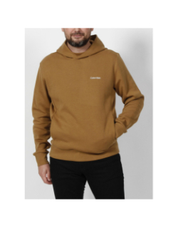 Sweat à capuche micro logo marron homme - Calvin Klein