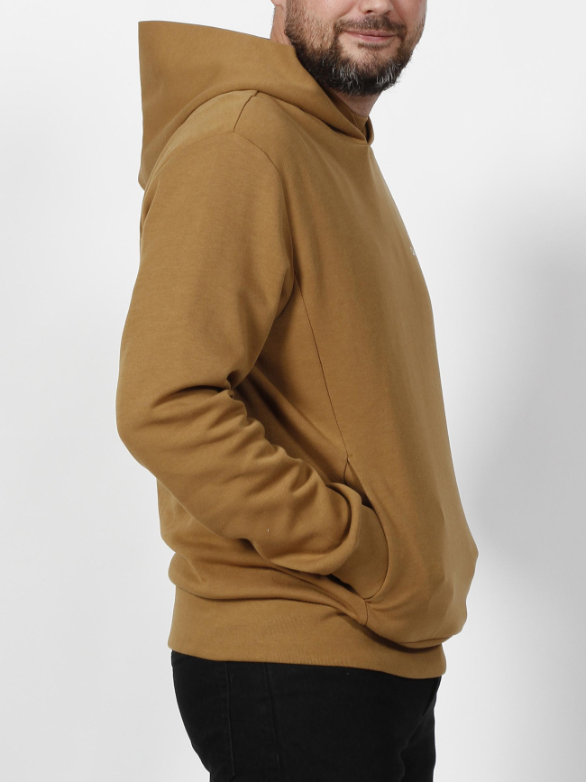 Sweat à capuche micro logo marron homme - Calvin Klein