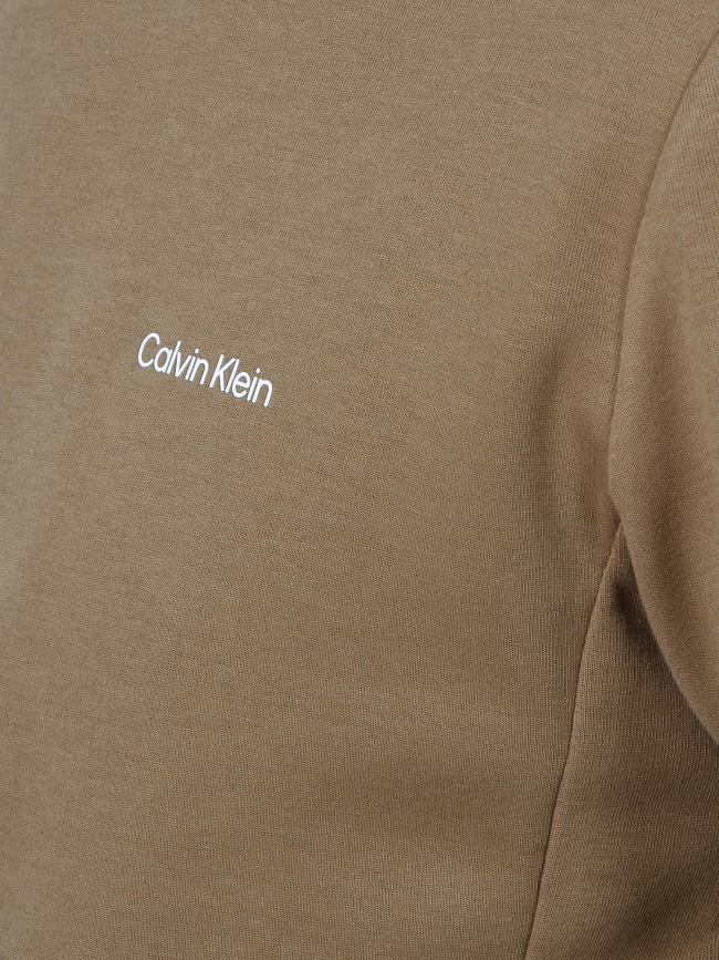 Sweat à capuche micro logo marron homme - Calvin Klein