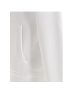 Sweat à capuche logo blanc homme - Tommy Hilfiger