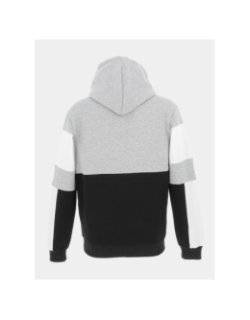 Sweat à capuche colorblock noir/gris homme - Project X Paris