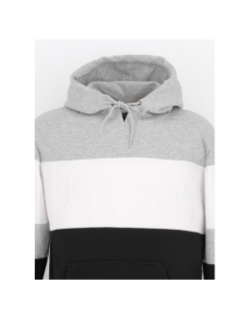 Sweat à capuche colorblock noir/gris homme - Project X Paris