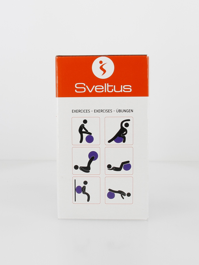 Gymball 75cm violet - Sveltus