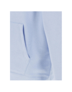 Sweat à capuche logo bleu clair homme - Tommy Hilfiger