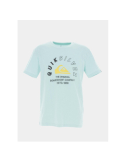 T-shirt mixed signals bleu vert homme - Quiksilver