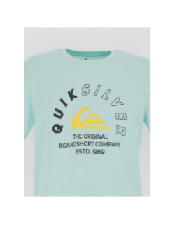 T-shirt mixed signals bleu vert homme - Quiksilver