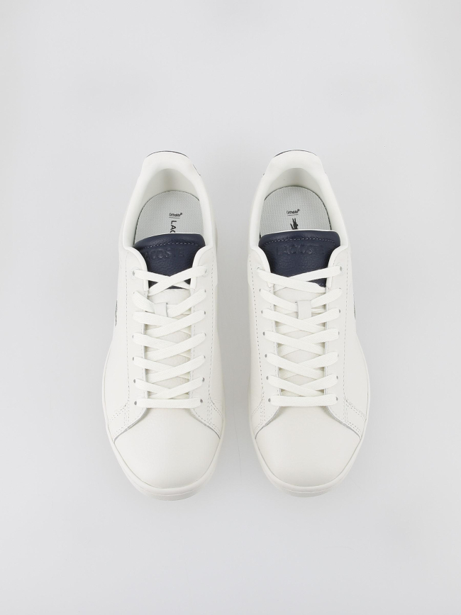 Baskets carnaby pro blanc bleu homme - Lacoste