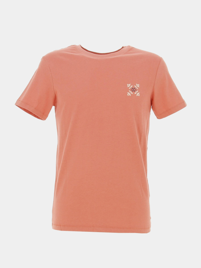 T-shirt graphique tabula rose homme - Oxbow