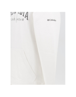 Sweat à capuche basic logo blanc homme - Columbia