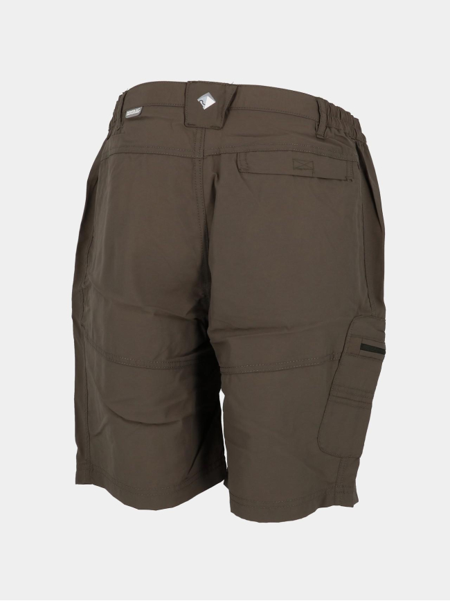 Short de randonnée leesville 2 gris anthracite homme - Regatta