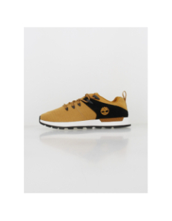 Baskets sprint trekker jaune noir homme - Timberland