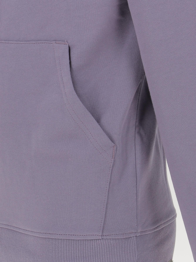 Sweat à capuche light drew peak violet homme - The North Face