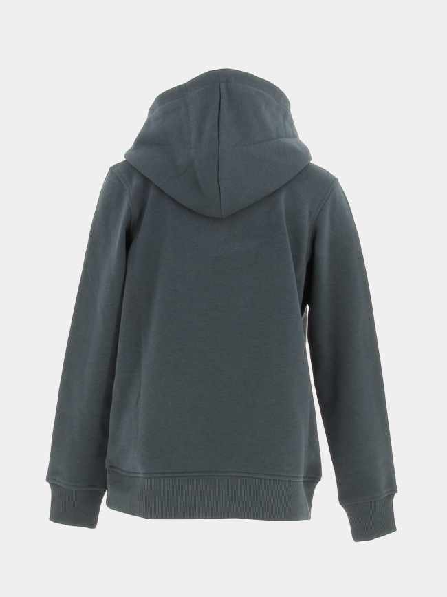 Sweat à capuche arthur vert forêt enfant - Jack & Jones