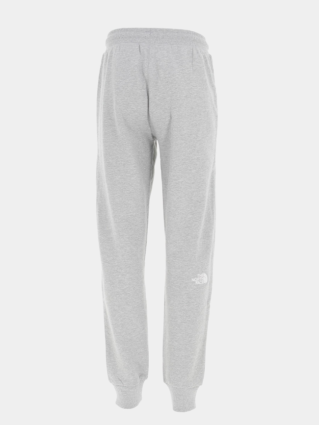 Jogging basique logo brodé gris homme - The North Face