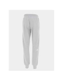 Jogging basique logo brodé gris homme - The North Face