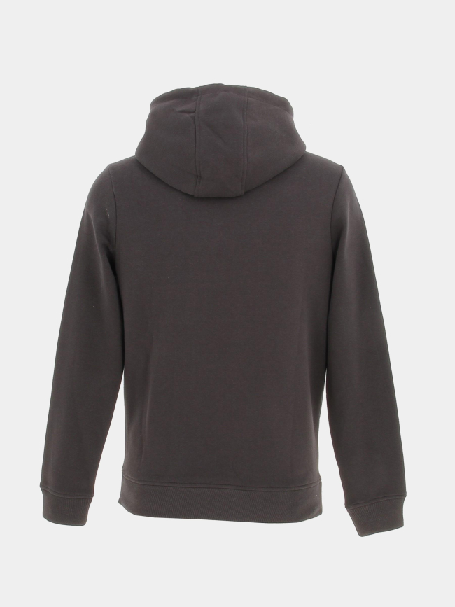 Sweat à capuche logo brodé marron homme - Sunvalley