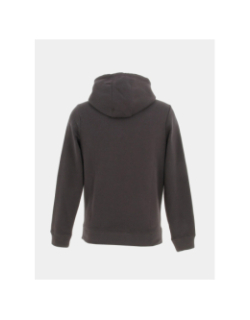 Sweat à capuche logo brodé marron homme - Sunvalley