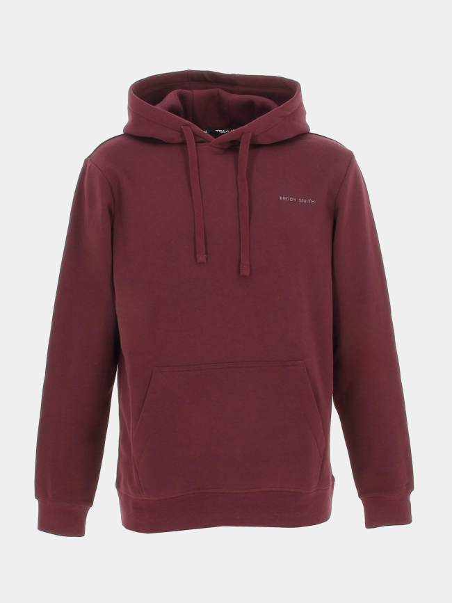 Sweat à capuche snark bordeaux homme - Teddy Smith