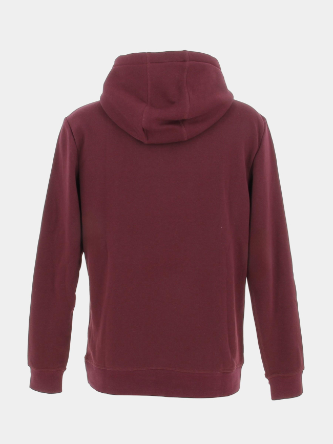 Sweat à capuche snark bordeaux homme - Teddy Smith