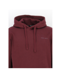 Sweat à capuche snark bordeaux homme - Teddy Smith