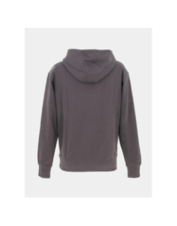 Sweat à capuche logo brodé gris homme - Oxbow