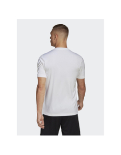 T-shirt de sport ent22 blanc homme - Adidas