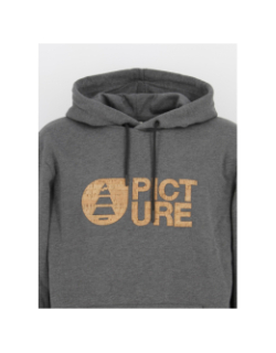 Sweat à capuche basement cork gris homme - Picture