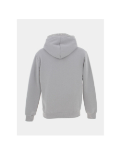 Sweat à capuche logo brodé gris homme - Project X Paris